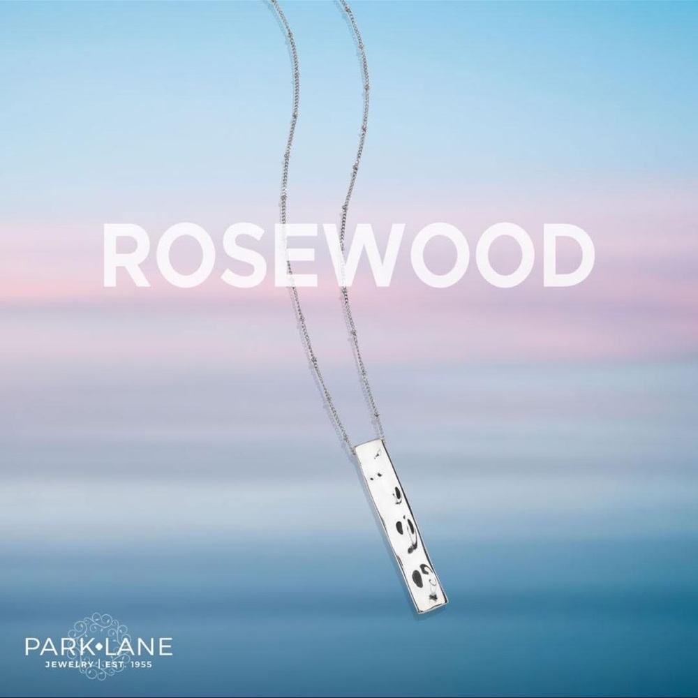 NWOT Rosewood Park Lane Silver Necklace